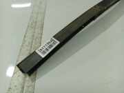 Schutzleiste T?r - Hinten Linke Dacia Sandero, I 2008.01 - 2012.03 Gebraucht,