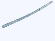 Zierleiste T?r Zier-Schutzleiste - Vorne Linke Ford Fusion, 2002.08 - 2009.12 2n11n20939aew,