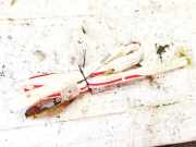 Kopfairbag - Vorne Rechts Toyota RAV-4, III 2005.11 - 2012.12 Gebraucht,