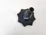 Ersatzradhalter Opel Signum, 2003.05 - 2008.06 13132390,