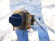 Ausgleichsbehälter Seat Alhambra, 2000.06 - 2010.03 facelift 7m3121407a,