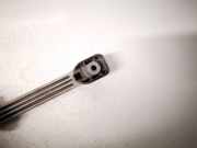 Haltegriff Haltegriff Verdeckgriff - Hinten Linke Fiat Ducato, 2006.07 - 2014 Gebraucht,