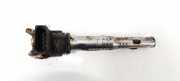 Zündspule Volkswagen Passat, B6 2005.08 - 2010.11 07k905715f, Blr