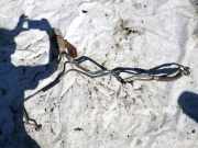 Trockner Klimaanlage Dodge Caliber, 2006.08 - 2009.01 Gebraucht ,