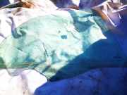 Seitenscheibe - Hinten Rechts Citroen Xsara Picasso, I 1999.12 - 2004.05 as2 ,