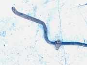 Stabilisator Vorne Mazda 5, CR 2005.02 - 2010.09 Gebraucht,