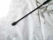 Gasfeder für Motorhaube Opel Vectra, C 2002.04 - 2005.10 Gebraucht,