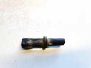 Glühbirnenfassung Blinker Renault Scenic, II 2003.06 - 2006.06 Gebraucht,