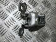 T?rscharnier Vorne Renault Clio, 2005.05 - 2009.06 Gebraucht,