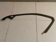 Zierleiste Leiste - Vorne Rechts Jaguar X-Type, 2001.06 - 2007.11 1X435420890A,1X43-5420890-A