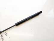 Gasfeder f?r Motorhaube Citroen C3 Pluriel 2003 - 2010 Gebraucht,