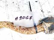 Stabilisator Vorne Volkswagen Touran, 2003.01 - 2006.10 Gebraucht, BKC