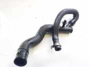 K?hlerschlauch Citroen C5, II 2008.02 - 2011.01 Gebraucht,