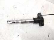 Zündspule Seat Leon, II 2005.05 - 2012.06 0040102033,