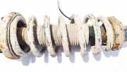 Fahrwerksfeder vorne Honda Accord, 2003.02 - 2005.09 Gebraucht,