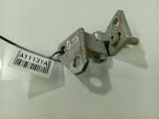 T?rscharnier Hinten Volkswagen Golf, V 2003.10 - 2008.10 Gebraucht, BRU