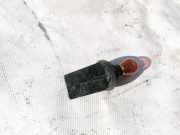 Gl?hbirnenfassung Blinker Renault Scenic, II 2003.06 - 2006.06 Gebraucht,