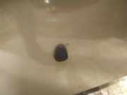 Waschwasserd?se Scheibenreinigung Mitsubishi Grandis, I 2004.01 - 2009.12 Gebraucht,