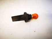 Glühbirnenfassung Blinker Renault Scenic, II 2003.06 - 2006.06 15620100,15620-100 156201-00 15620100