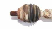 Antriebswelle Vorderachse - Vorne Rechts Volkswagen Passat, B6 2005.08 - 2010.11 Gebraucht, BLR