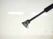 Gasfeder für Motorhaube Renault Scenic, II 2003.06 - 2006.06 Gebraucht ,