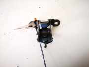 Türscharnier Hinten Renault Vel Satis, 2002.06 - 2009.12 Gebraucht,