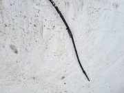 Seilzug Feststellbremse Audi 80, B4 1991.09 - 1995.01 8A0609721T,