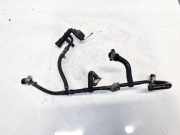 Einspritzleitung Renault Grand Scenic, II 2009.02 - 2013.06 166714557R,