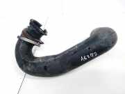 Schlauch für Luftversorgung Citroen Evasion, I 1994.01 - 2002.12 Gebraucht,
