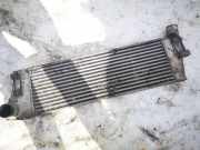 Ladeluftk?hler Renault Scenic, II 2003.06 - 2006.06 8200700172,