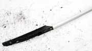 Dachreling Linke Citroen C5, II 2008.02 - 2011.01 Gebraucht,
