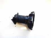 Ersatzradhalter Volkswagen Passat, B7 2010.08 - 2014.06 3C0803899,3C0803899 CFFB