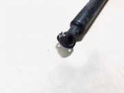 Gasdruckfeder Kofferraum Renault Laguna, II 2001.03 - 2006.05 Gebraucht,