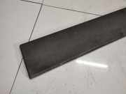 Zierleiste Tür Zier-Schutzleiste - Hinten Rechts Peugeot Boxer, 2002.04 - 2006.04 facelift 1304019070, 1304019070