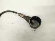 Lambdasonde -4 Drähte WEISS WEISS SCHWARZ GRAU Chevrolet Orlando, I 2011.01 - 2018.06 55566648,