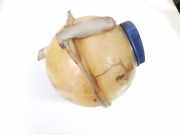 Ausgleichsbeh?lter Skoda Octavia, I 1996.09 - 2000.11 zsb1h0121403b,