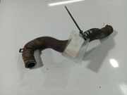 Kühlerschlauch Nissan Primera, P12 2002.01 - 2008.12 Gebraucht,