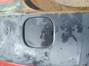 Abdeckung Abschlepphaken - Hinten Renault Scenic, II 2003.06 - 2006.06 Gebraucht,