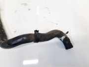 K?hlerschlauch Toyota RAV-4, II 2000.09 - 2005.11 Gebraucht,