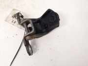 T?rscharnier Vorne Renault Vel Satis, 2002.06 - 2009.12 Gebraucht,