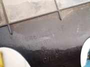 Unterfahrschutz Chrysler 300C, I 2005.01 - 2010.06 04806232ab,