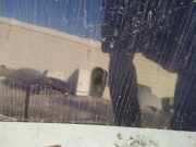 Waschwasserdüse Scheibenreinigung Volkswagen Golf, III 1993.07 - 1999.04 Gebraucht,