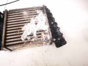 Ladeluftk?hler Seat Ibiza, III 2002.02 - 2009.11 Gebraucht,