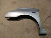 Kotflügel - Vorne Linke Renault Espace, IV 2002.11 - 2014.12 Gebraucht ,