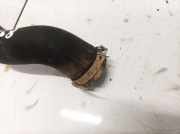 Kühlerschlauch Fiat Punto, 2005.10 - 2012.03 Gebraucht,