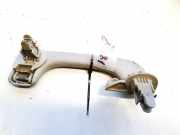 Haltegriff Haltegriff Verdeckgriff - Hinten Linke Renault Scenic, II 2003.06 - 2006.06 Gebraucht ,