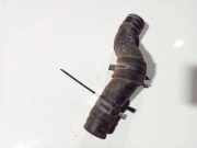 K?hlerschlauch Toyota RAV-4, II 2000.09 - 2005.11 Gebraucht,