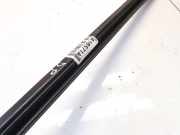 Zierleiste Leiste - Vorne Rechts Peugeot 406, 1999.03 - 2004.05 facelift Gebraucht,