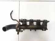 Ansaugkrümmer Nissan X-Trail, 2001.06 - 2007.06 nl0753,
