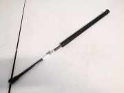 Gasdruckfeder Kofferraum Toyota Corolla, 2004.02 - 2007.02 facelift 6895002041,